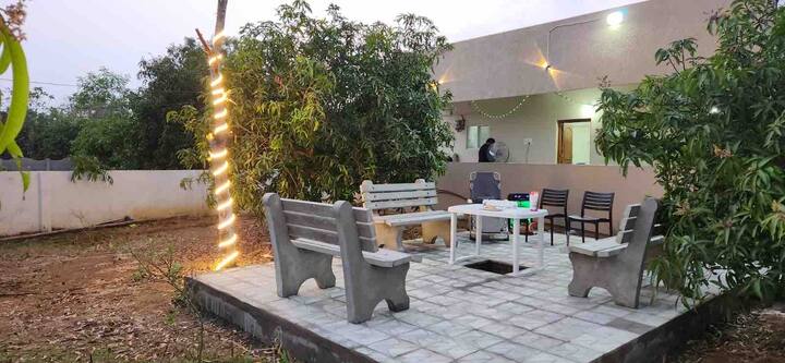 Mango Farm - Image 2