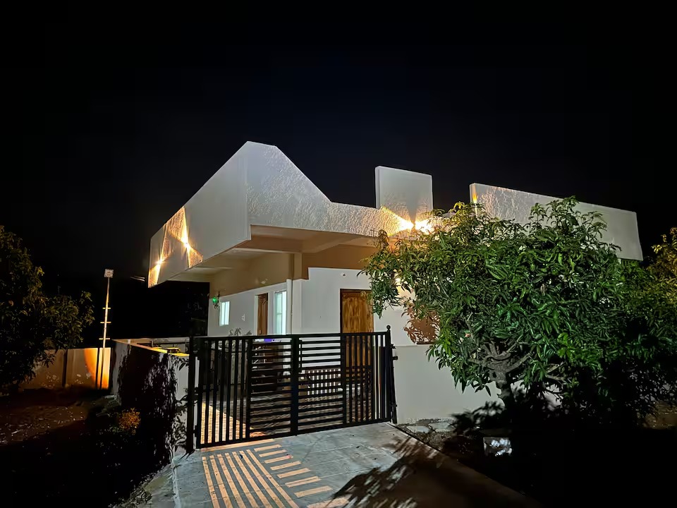 Mango Farm - Image 3